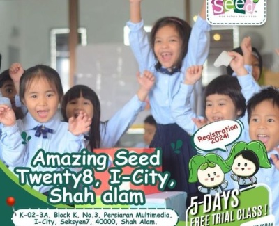 Amazing Seed: Pre School Programme